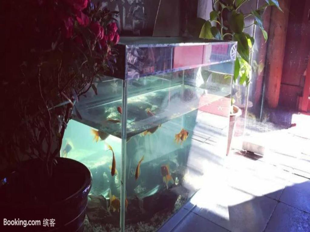 בייג'ינג Three Legged Frog Hostel מראה חיצוני תמונה