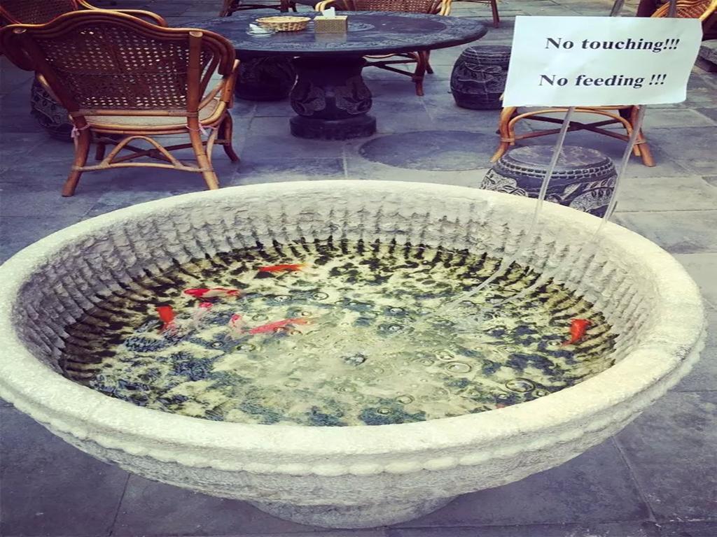 בייג'ינג Three Legged Frog Hostel מראה חיצוני תמונה