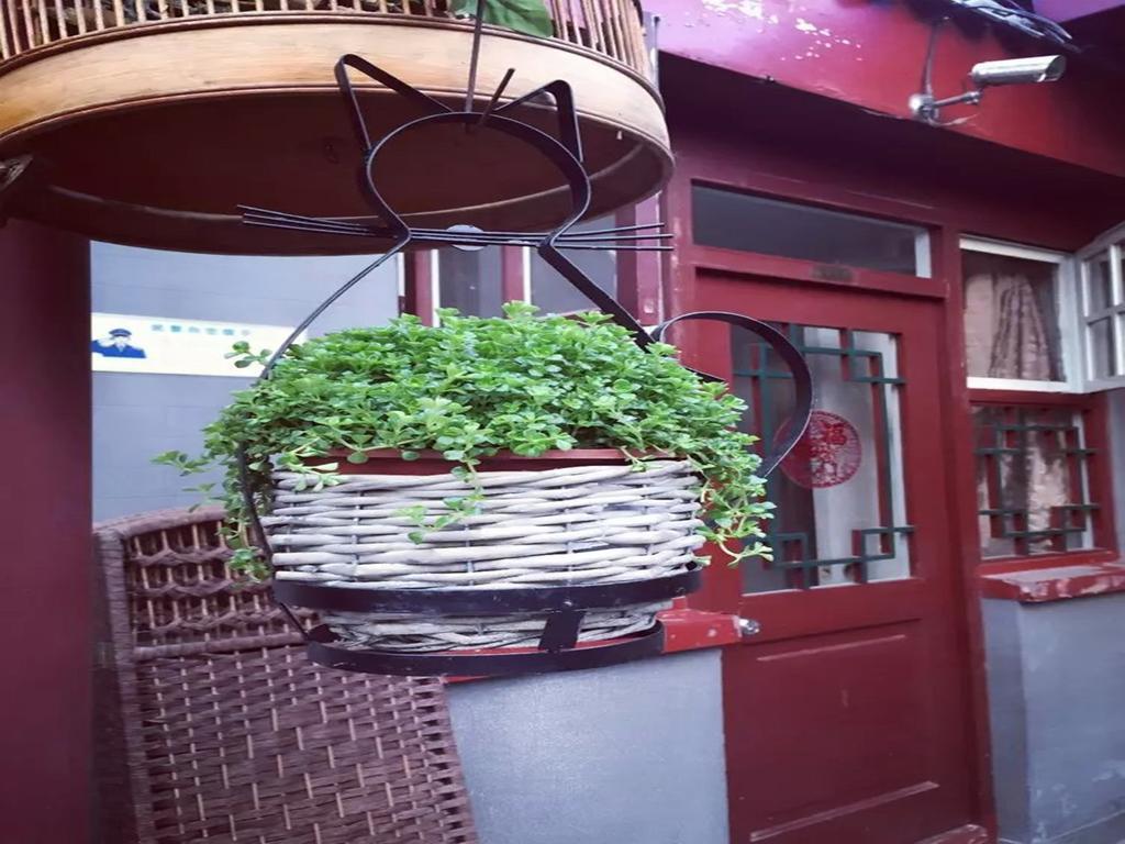 בייג'ינג Three Legged Frog Hostel מראה חיצוני תמונה