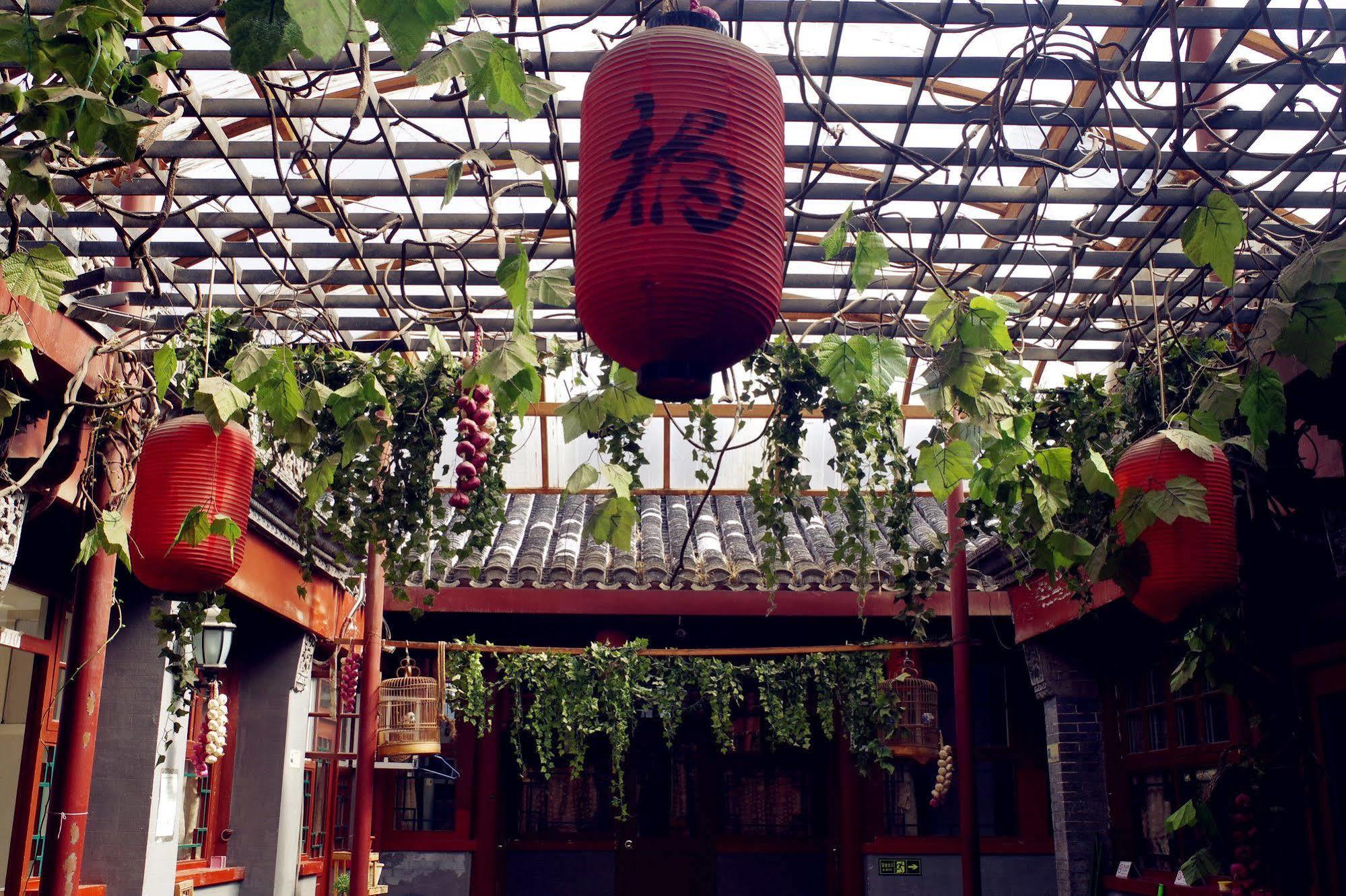 בייג'ינג Three Legged Frog Hostel מראה חיצוני תמונה