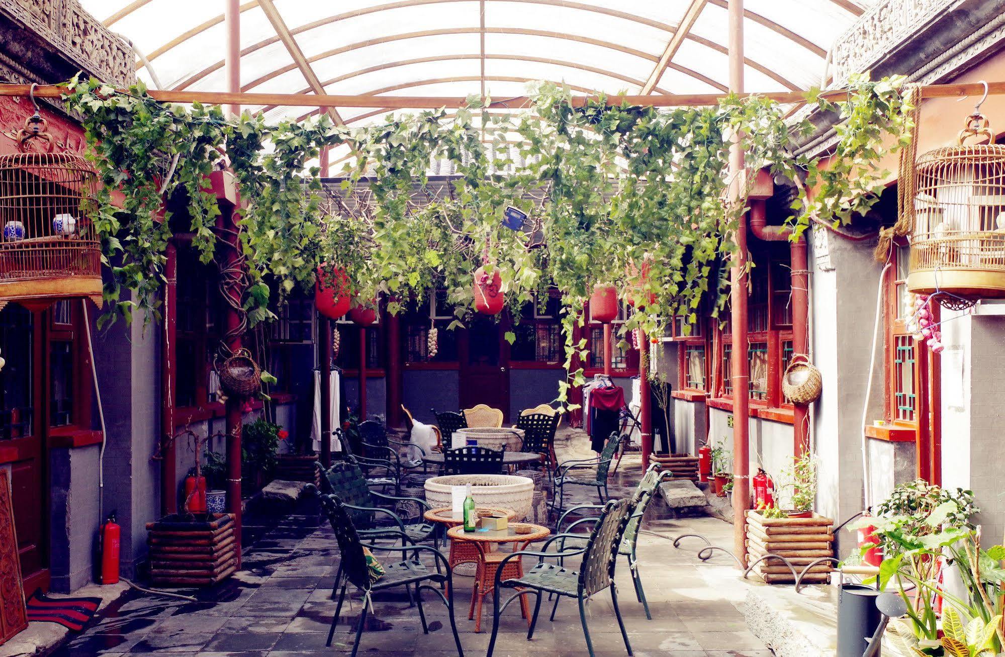 בייג'ינג Three Legged Frog Hostel מראה חיצוני תמונה